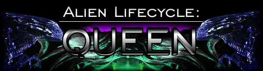 Alien Life Cycle: Queen